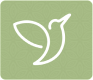 B2 Writing | Test 1