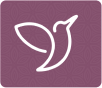 C2 Reading | Test 2